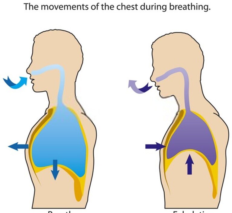 What Is The Proper Way To Breathe When Walking? What Is The Proper Way To Breathe When Walking?