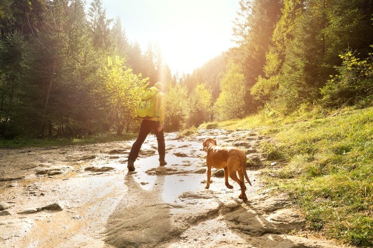 Why Do We Need To Be Physically Fit Before Going On Trekking Or Hiking? Why Do We Need To Be Physically Fit Before Going On Trekking Or Hiking?