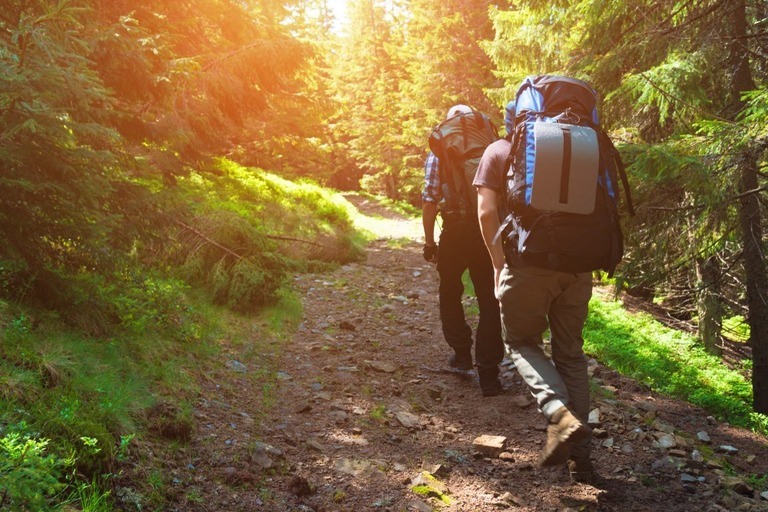 Why Do We Need To Be Physically Fit Before Going On Trekking Or Hiking? Why Do We Need To Be Physically Fit Before Going On Trekking Or Hiking?