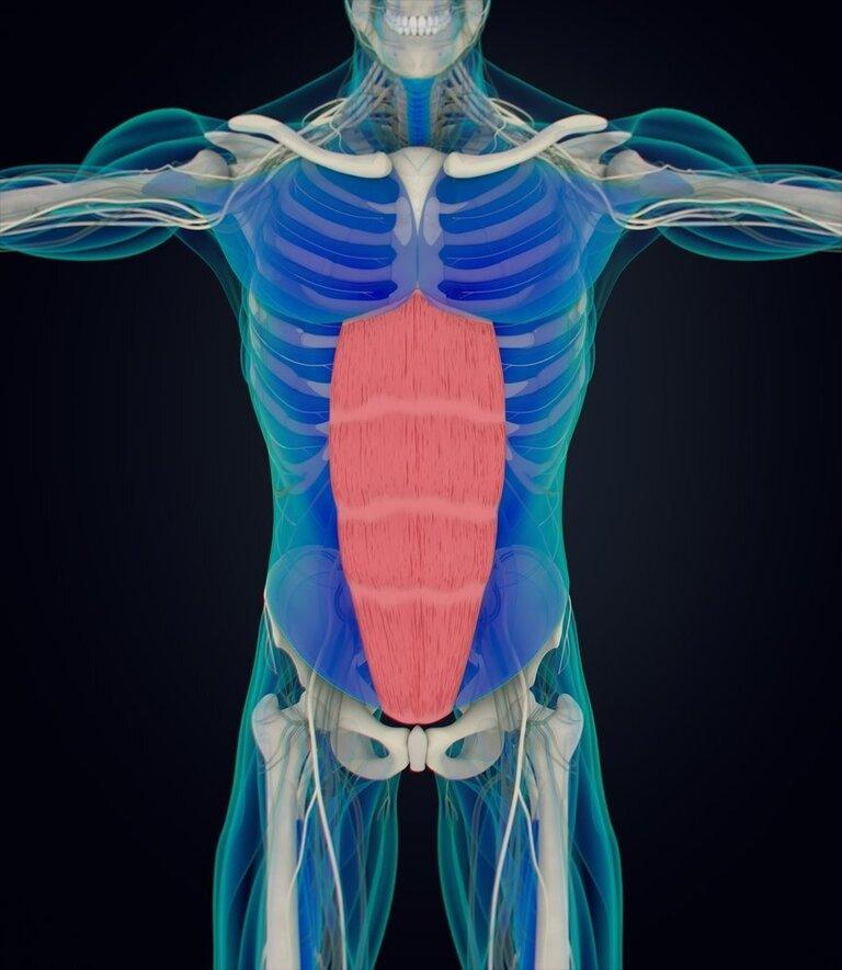 Best Ways to Make Exercises Harder Without More Weight Best Ways to Make Exercises Harder Without More Weight