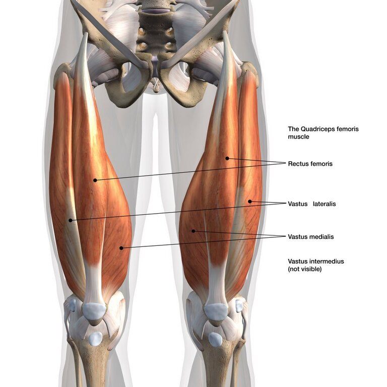 What Are Good Stretches To Do Before Running? What Are Good Stretches To Do Before Running?