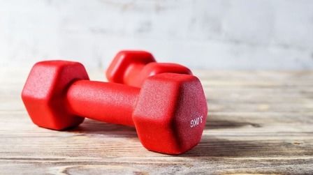6 Best Dumbbells For Home Gym of 2025