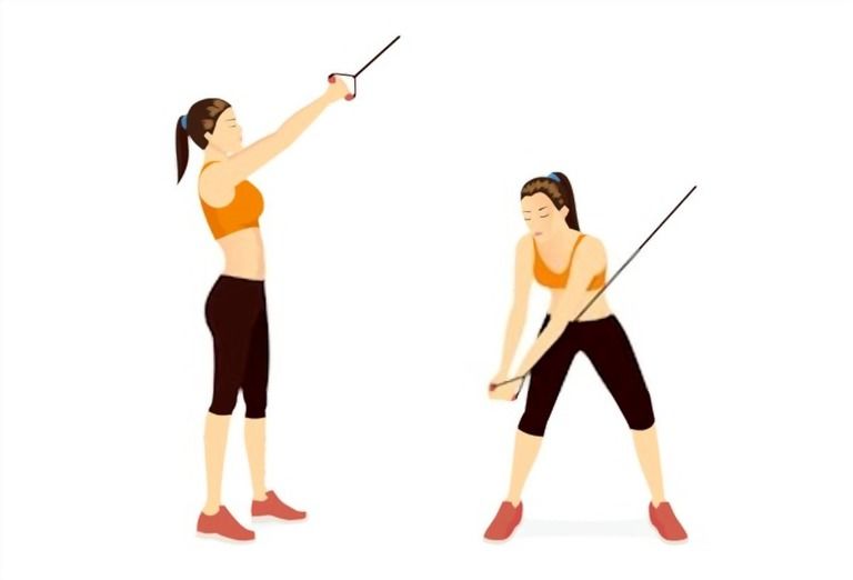 What Exercise Machine Burns The Most Belly Fat? What Exercise Machine Burns The Most Belly Fat?