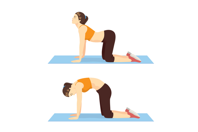 Strength Exercises For Lower Back Pain Strength Exercises For Lower Back Pain